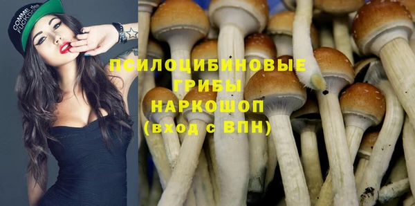 прущая мука Михайловск